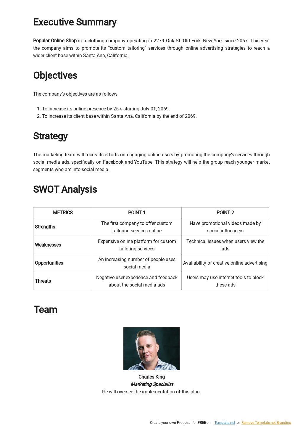 business plan template for job promotion