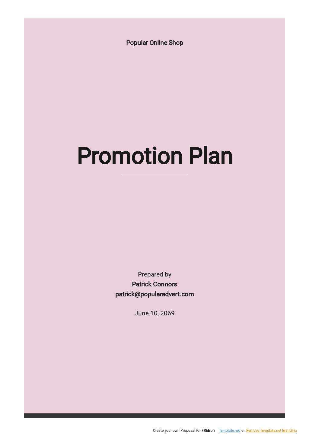Promotion Plan Template