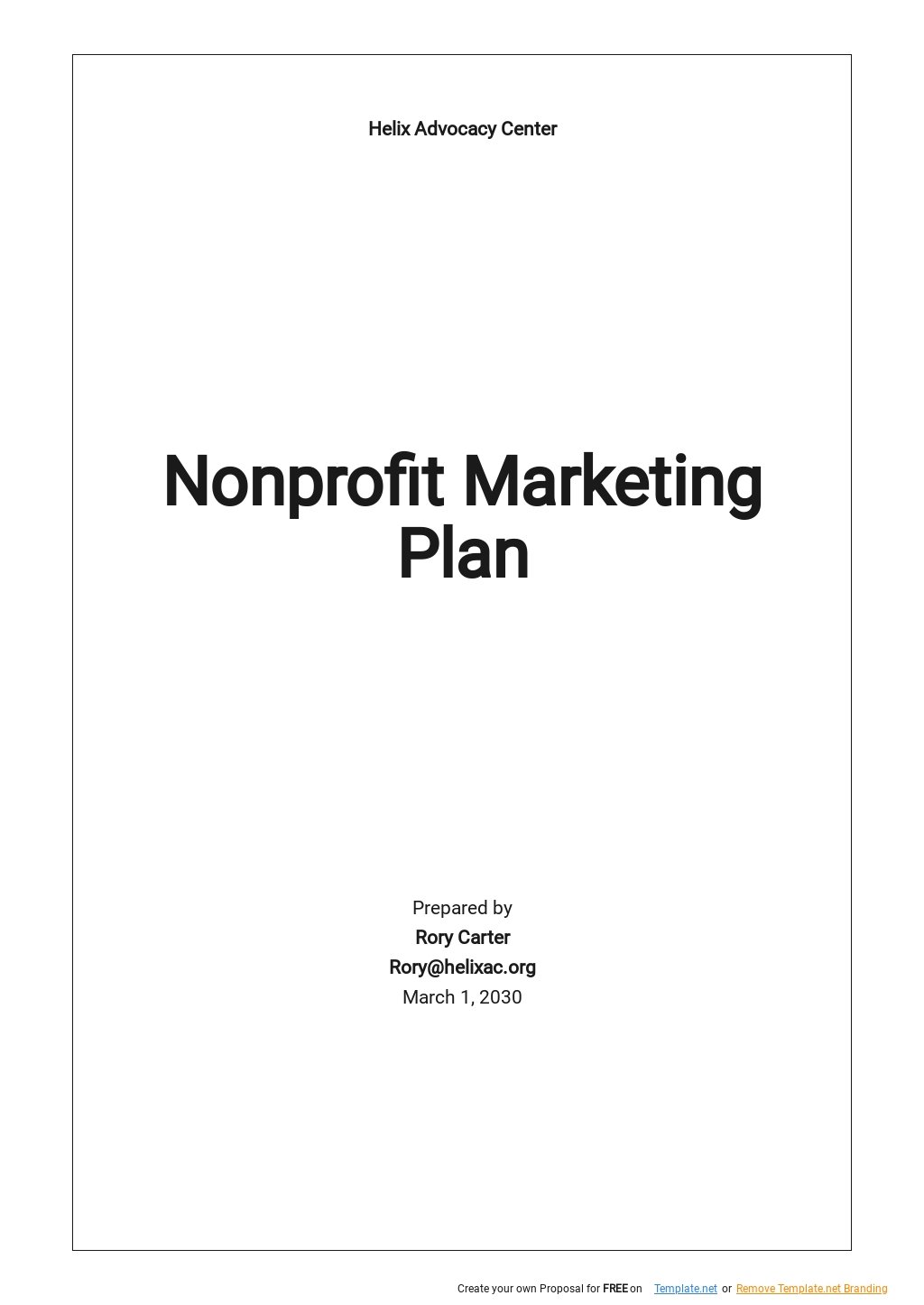 NEW Nonprofit Marketing Plan Template