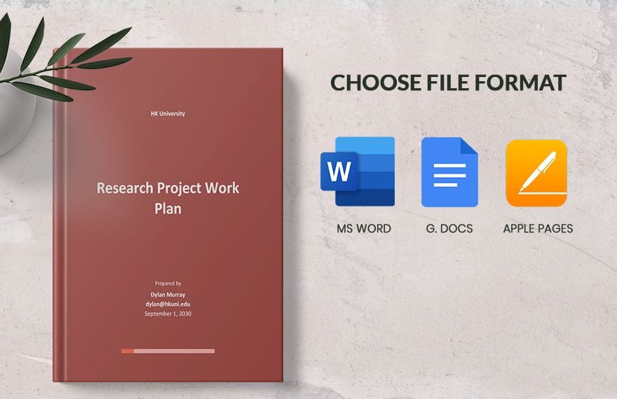 Research Project Work Plan Template