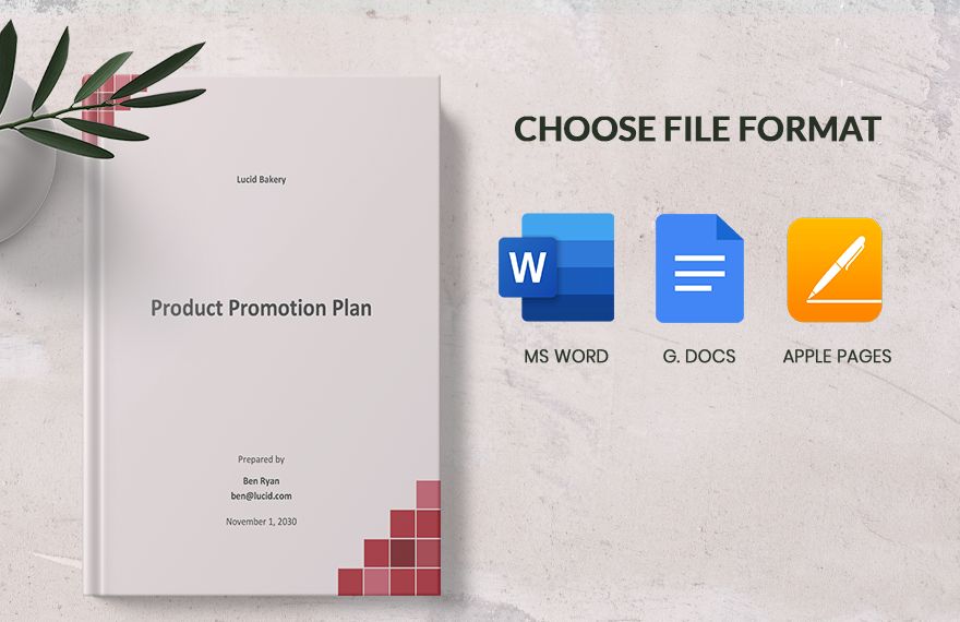 Product Promotion Plan Template