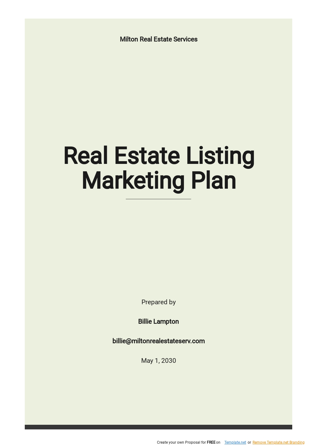 Real Estate Marketing Plan Template Google Docs Word Apple Pages 