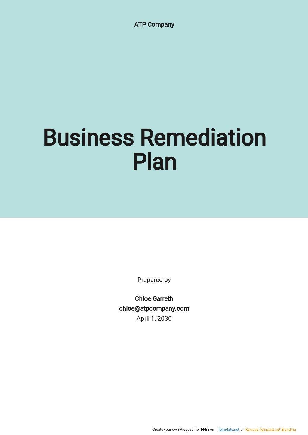 Business Remediation Plan Template