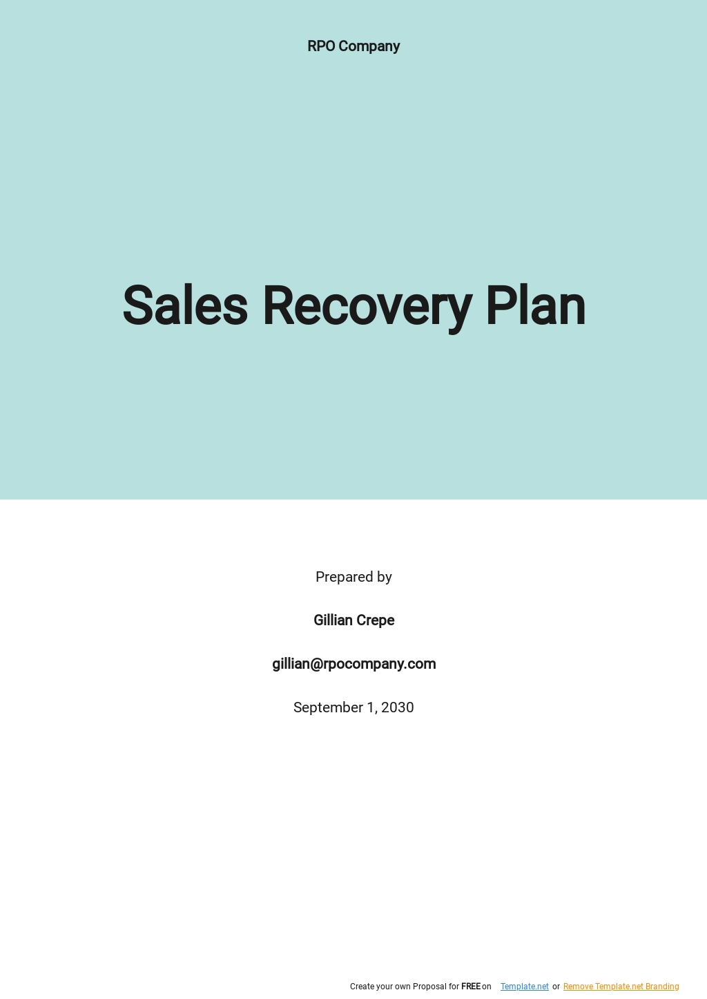 Sales Recovery Plan Template