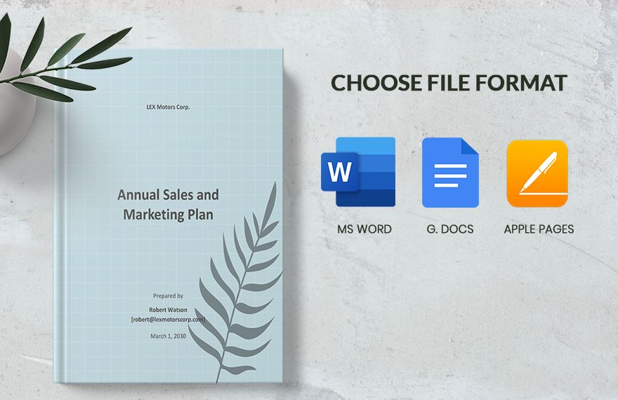 Annual Sales and Marketing Plan Template