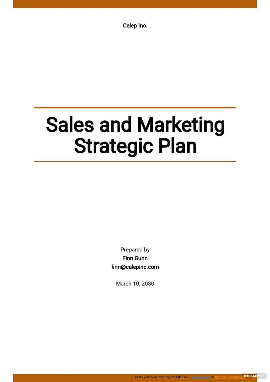 Sales and Marketing Strategic Plan Template