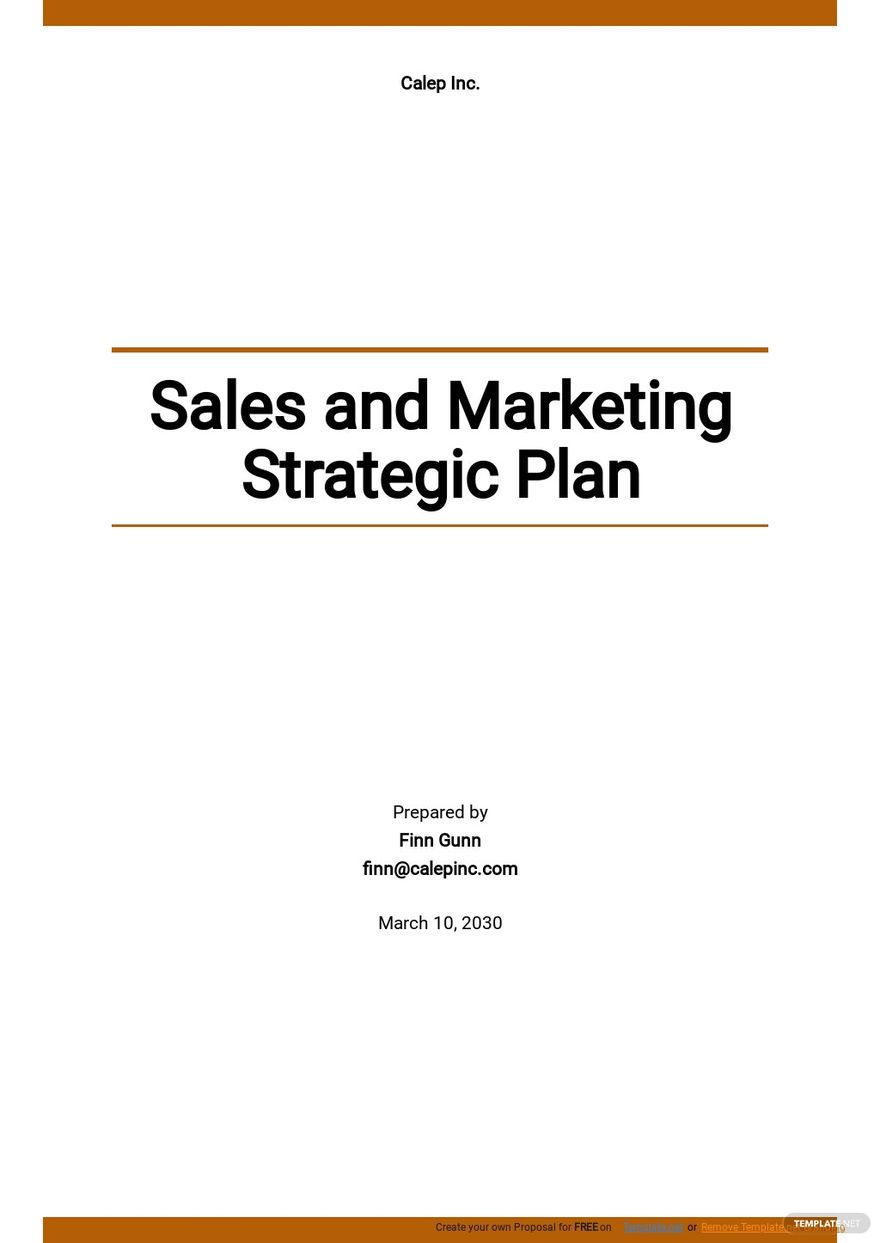 Sales and Marketing Strategic Plan Template - Google Docs, Word, Apple ...