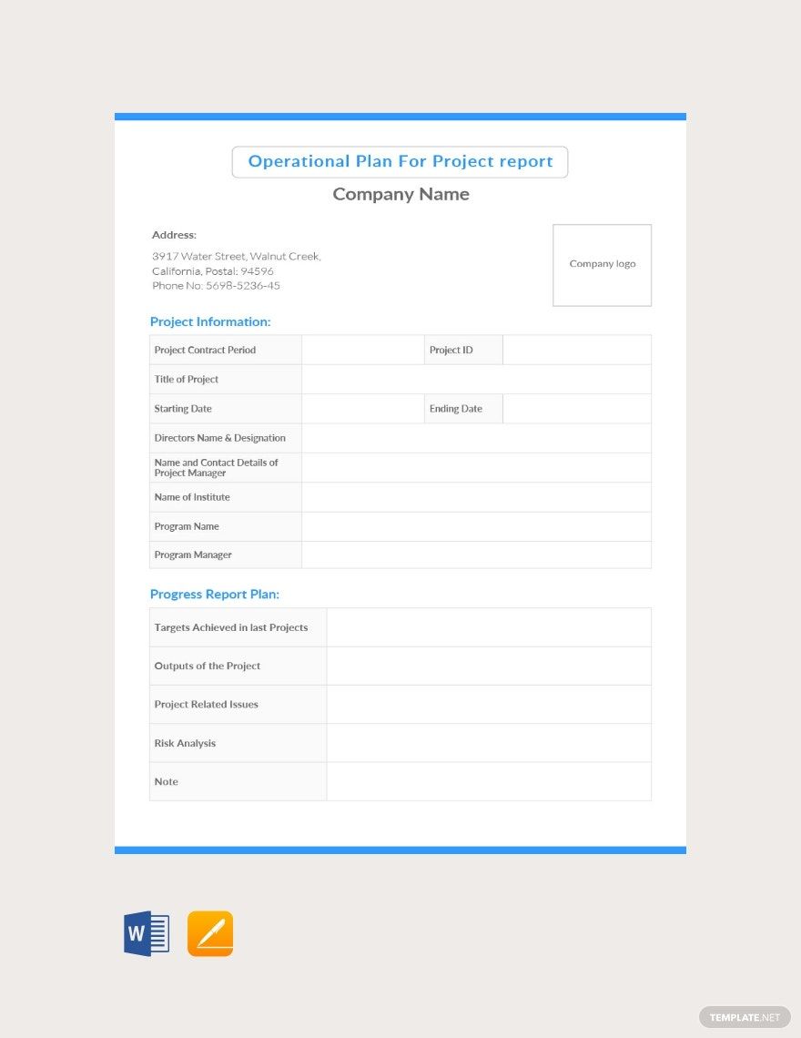Operational Plan For Project report Template