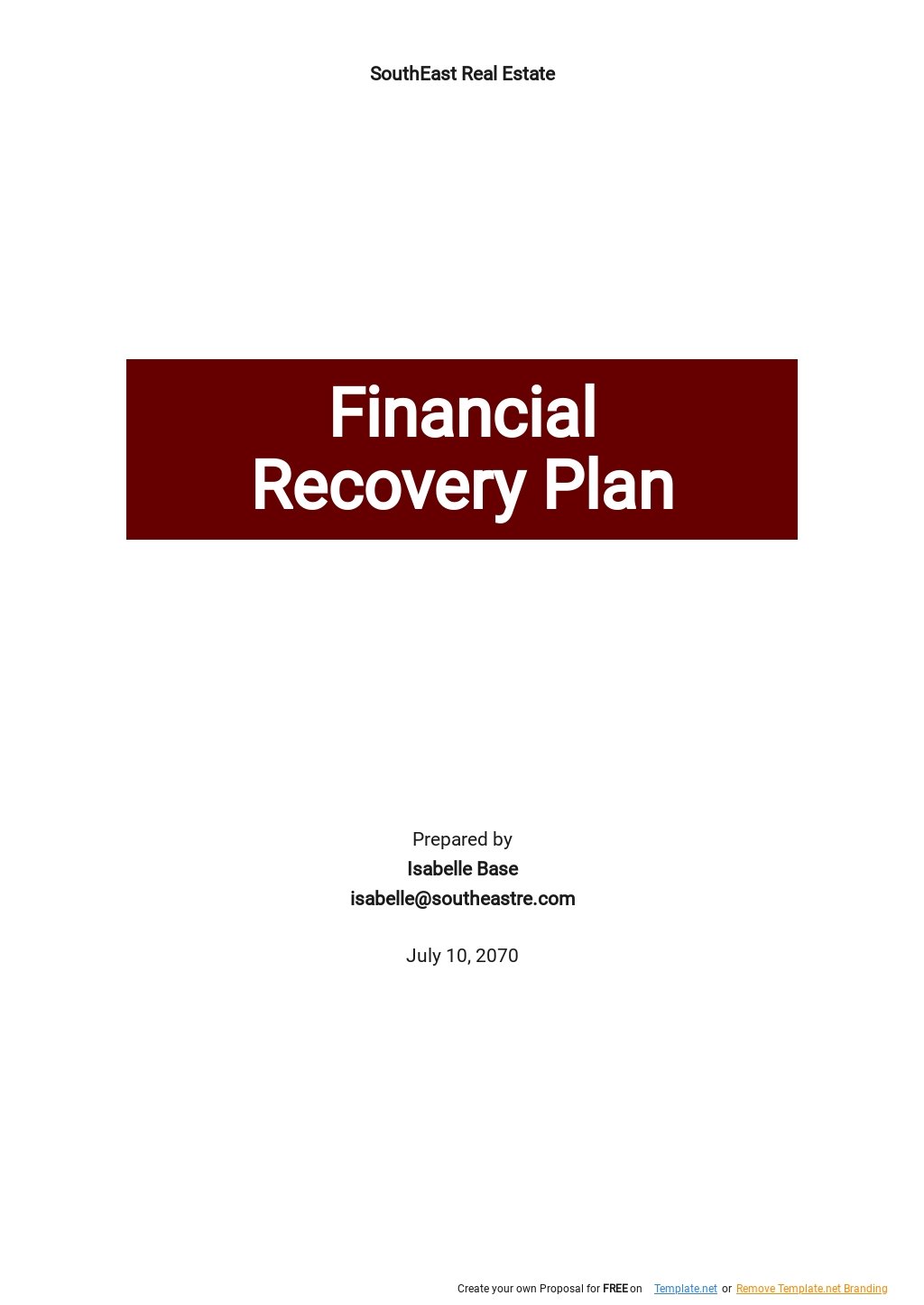 Financial Recovery Plan Template 