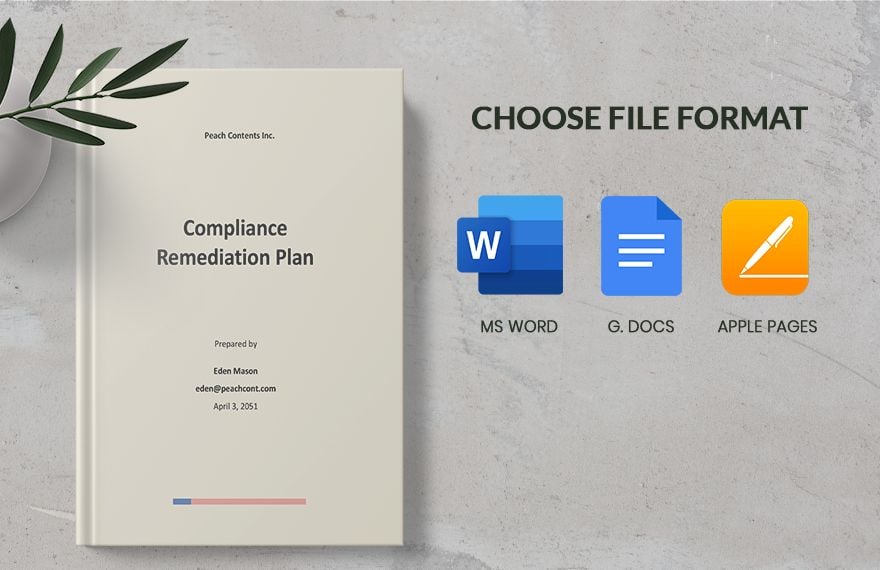 Compliance Remediation Plan Template