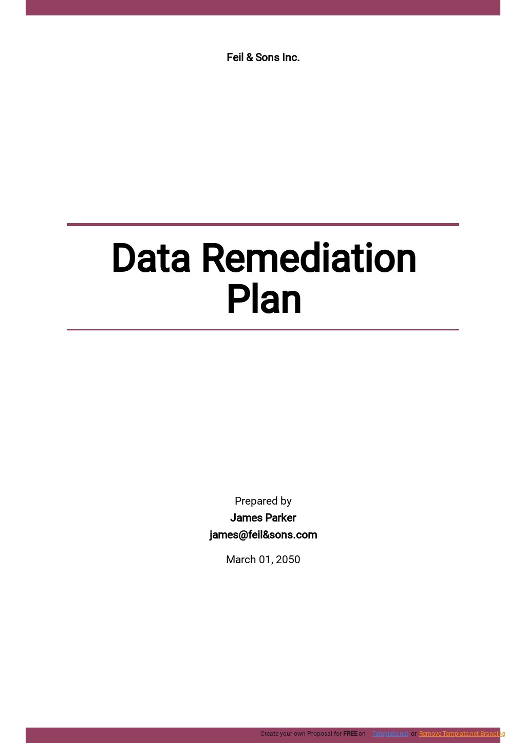 Data Remediation Plan Template