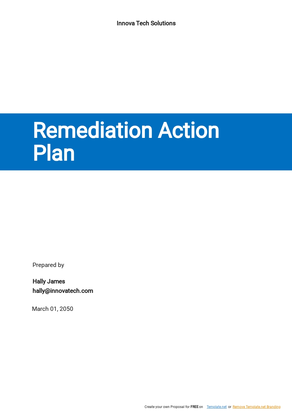 Remediation Action Plan Template