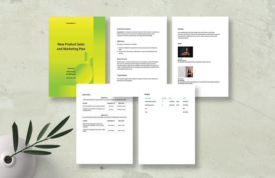 New Product Sales and Marketing Plan Template