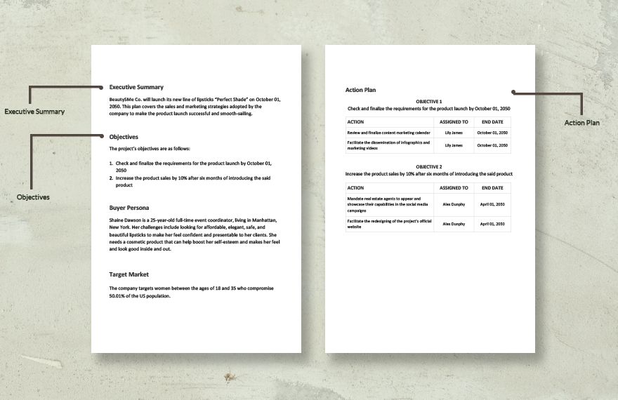 New Product Sales and Marketing Plan Template