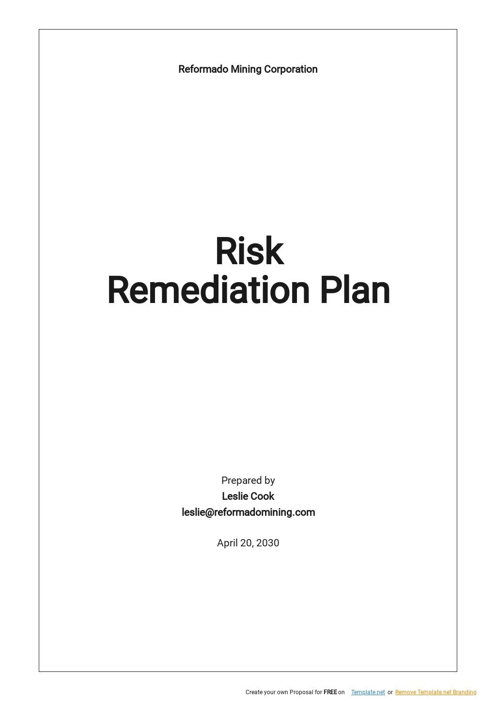 Risk Remediation Plan Template