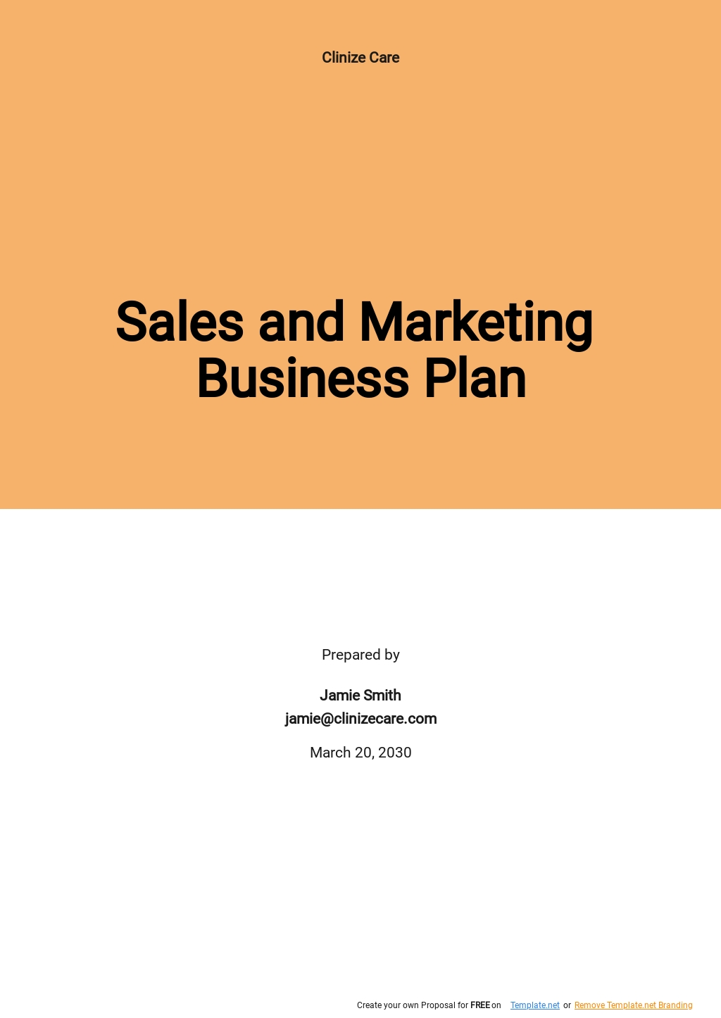 Sales and Marketing Plan Template Google Docs Word Apple Pages