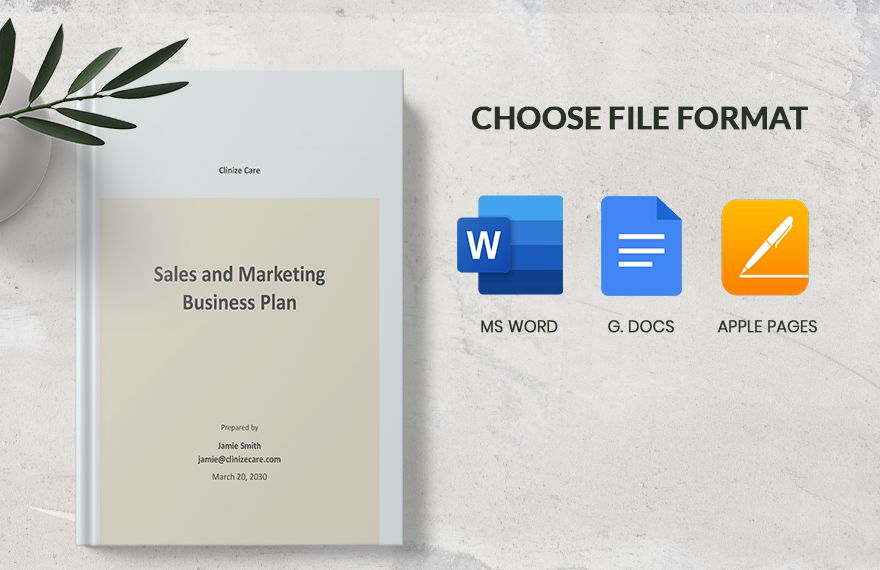 Sales and Marketing Business Plan Template