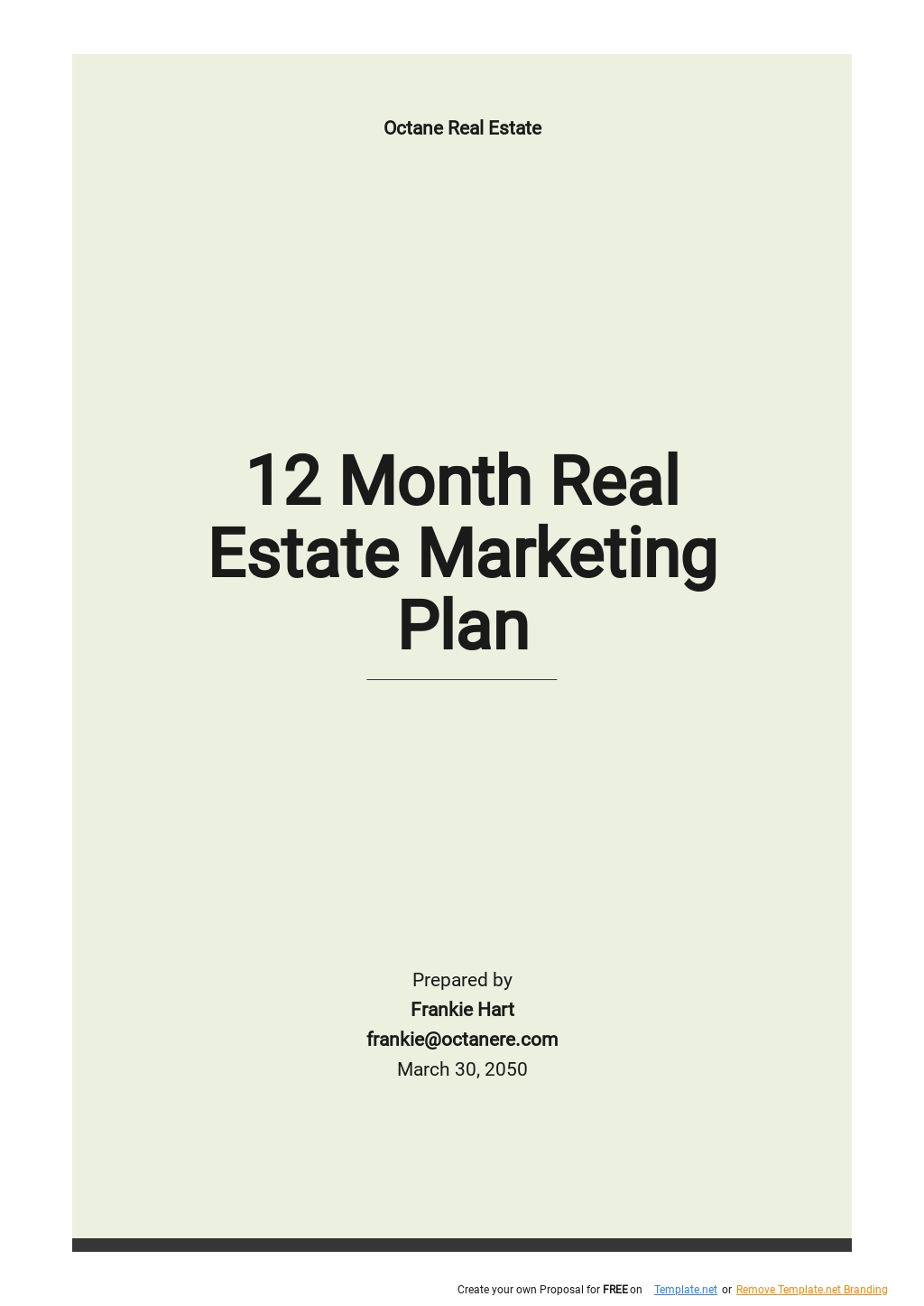12 Month Real Estate Marketing Plan Template