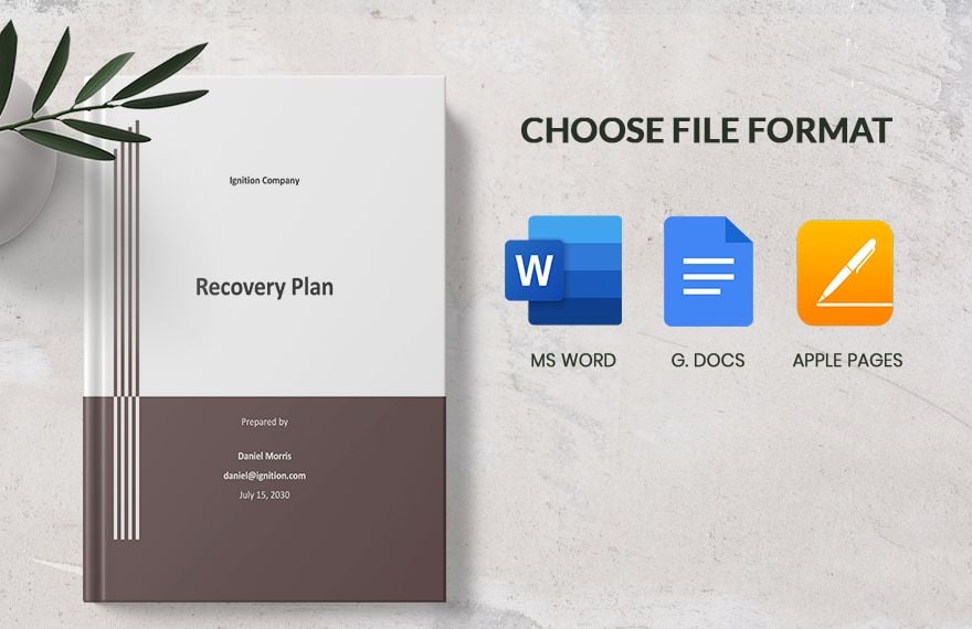 Sample Recovery Plan Template