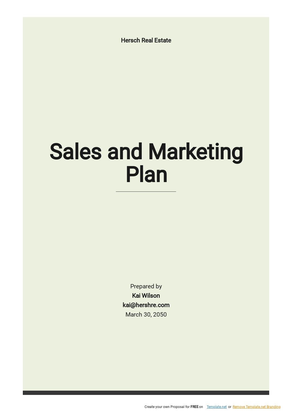 Free Sample Simple Sales and Marketing Plan Template