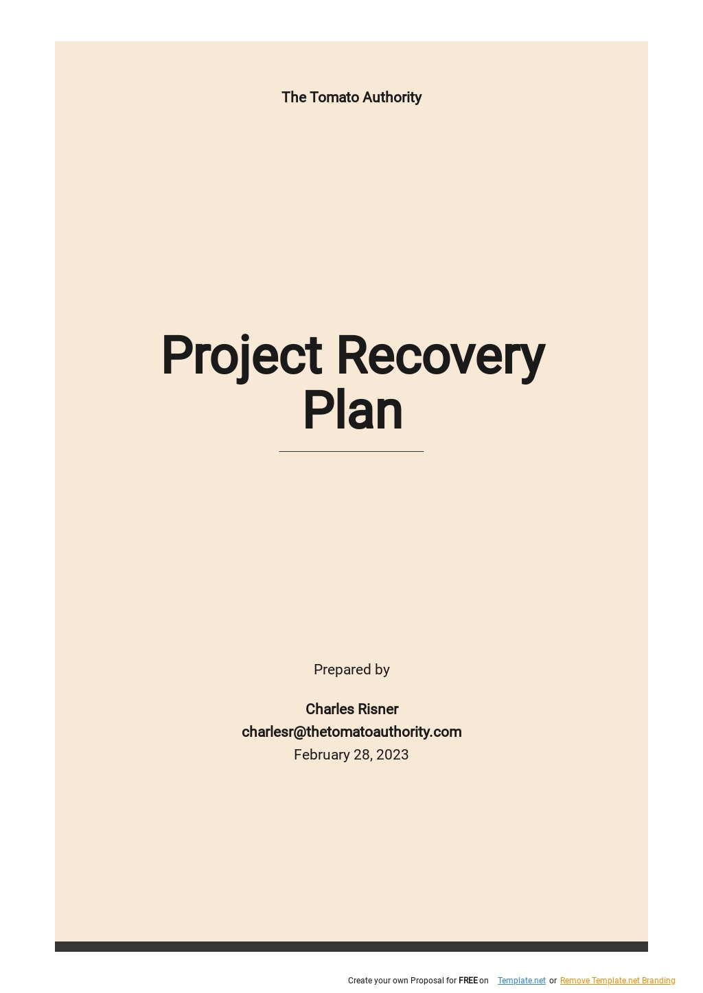 Project Recovery Plan Template