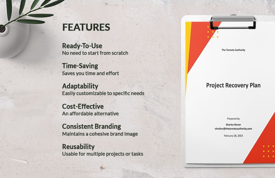 Project Recovery Plan Template