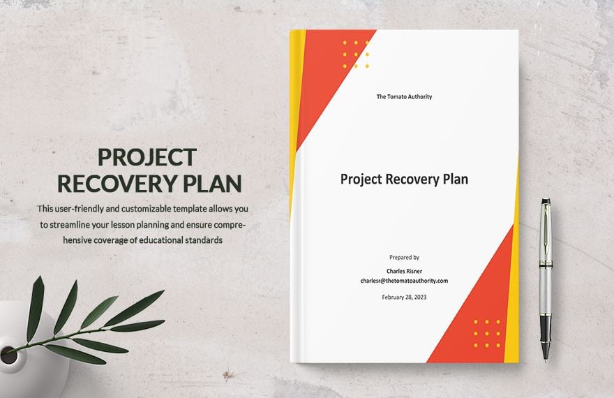 Project Recovery Plan Template