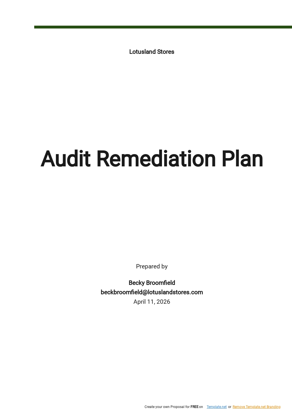 Audit Remediation Plan Template