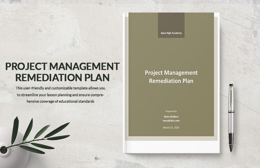 Project Management Remediation Plan Template