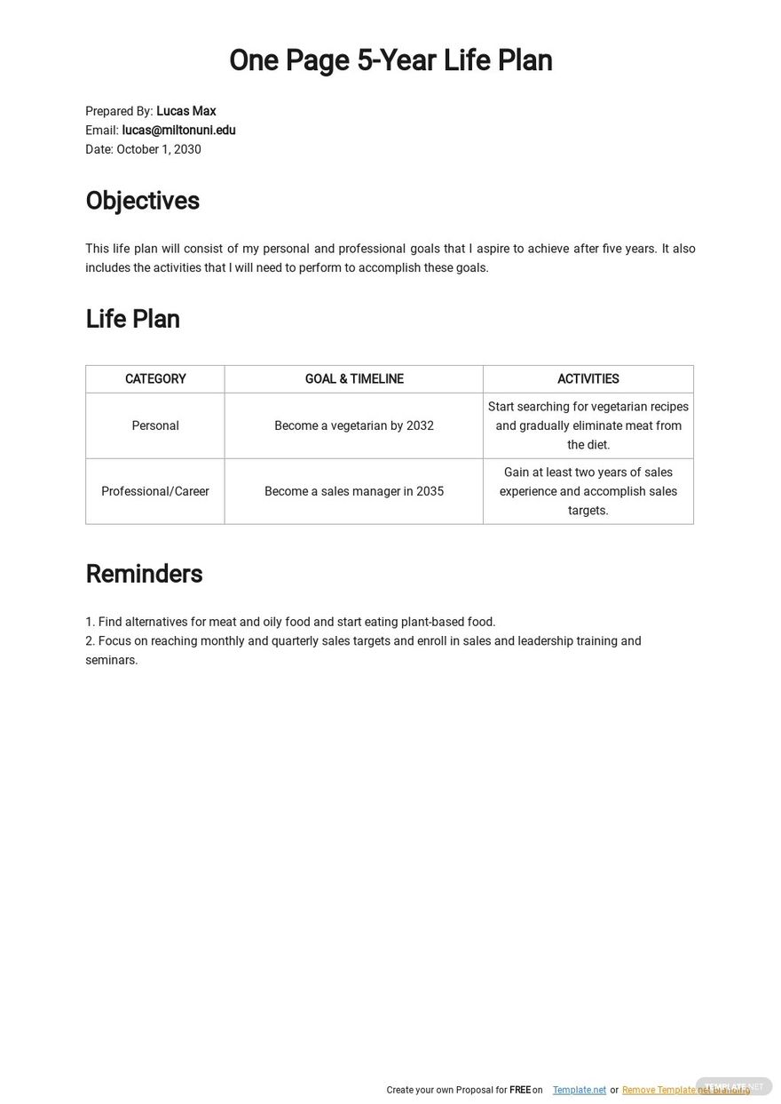 Strategic Life Plan Template Google Docs, Word, Apple Pages, PDF