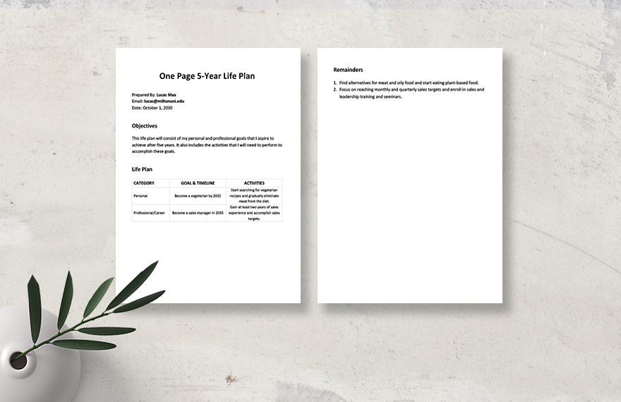 One Page 5 Year Life Plan Template