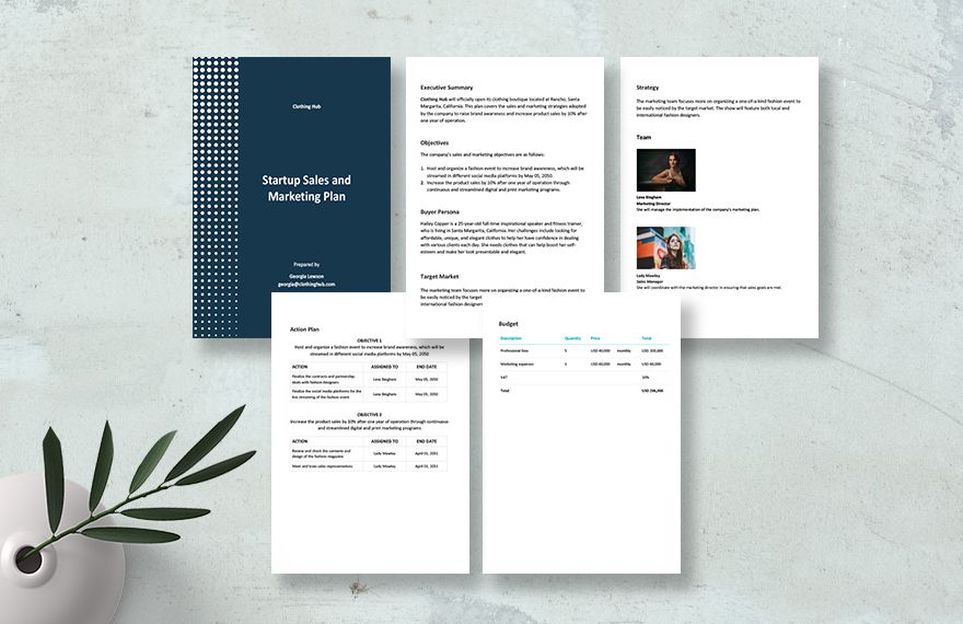 Startup Sales and Marketing Plan Template