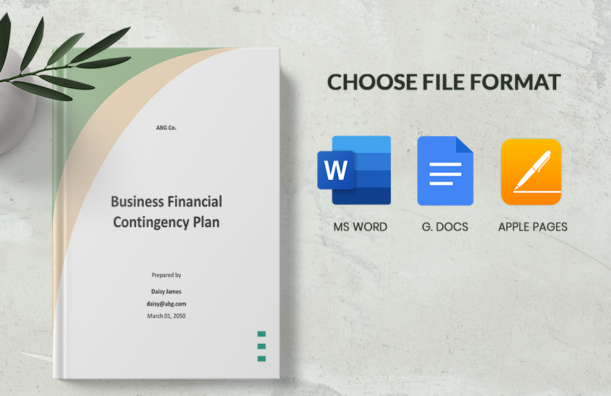Business Financial Contingency Plan Template