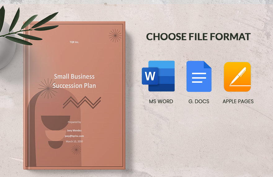 Small Business Succession Plan Template