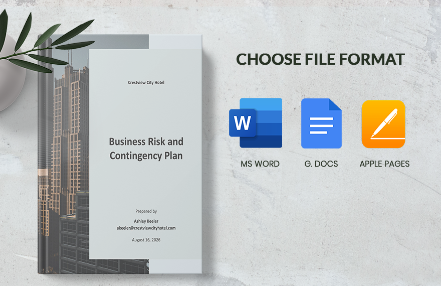 Business Risk And Contingency Plan Template