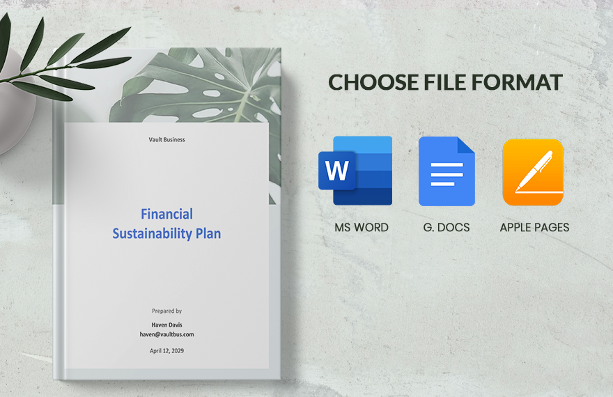 Financial Sustainability Plan Template