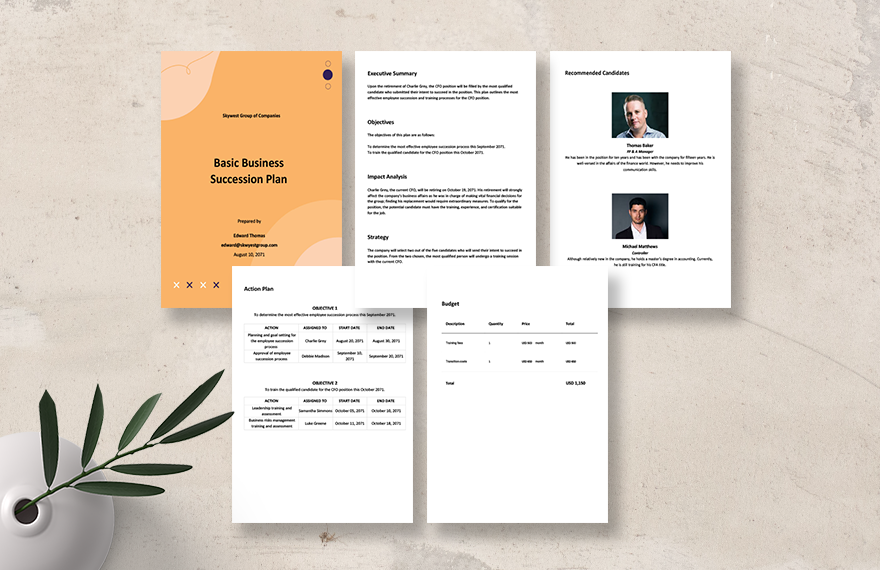Basic Business Succession Plan Template