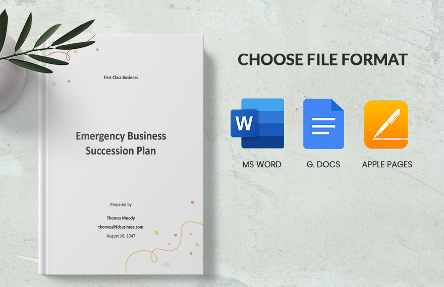 Emergency Business Succession Plan Template