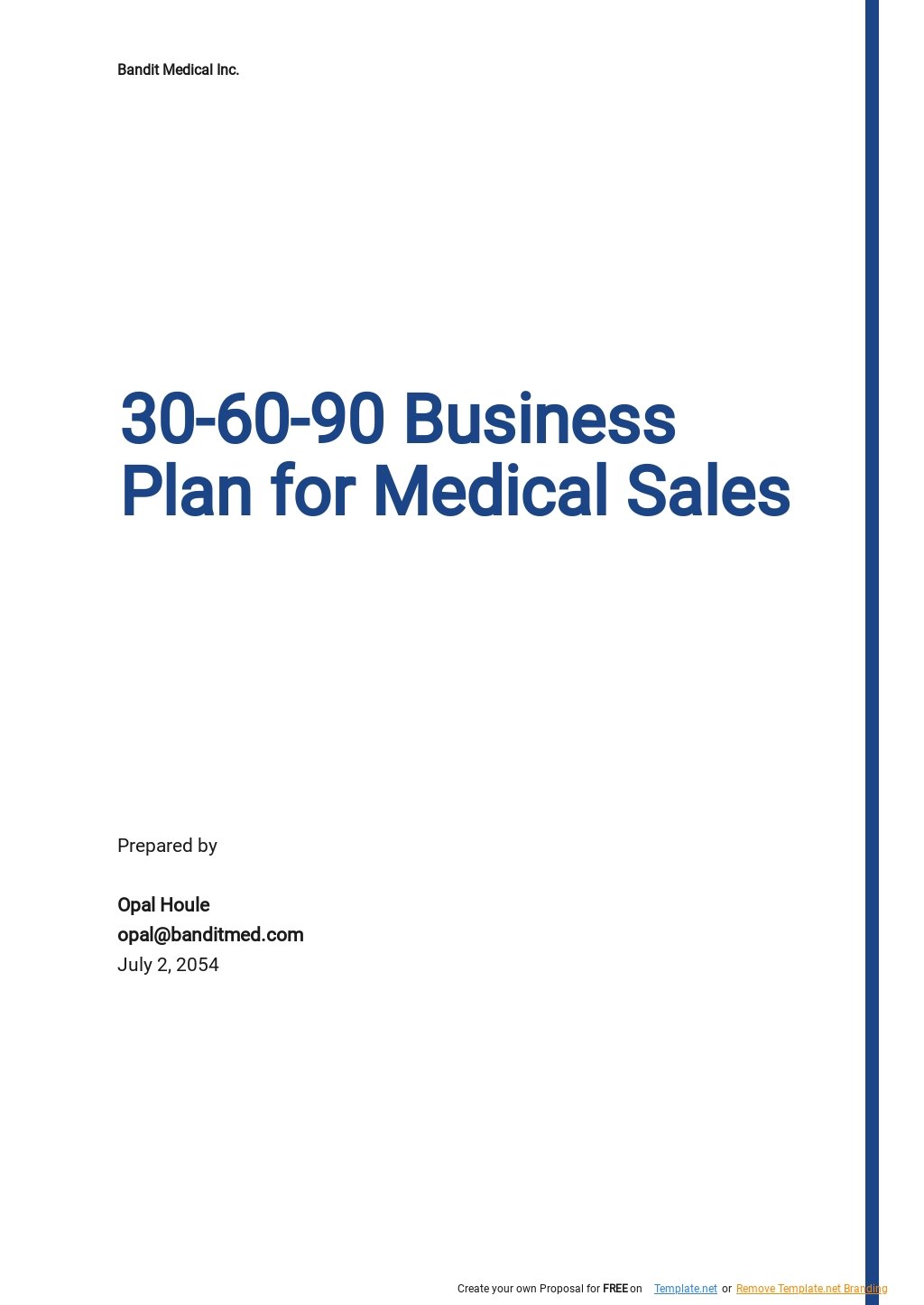 30-60-90 Business Plan for Medical Sales