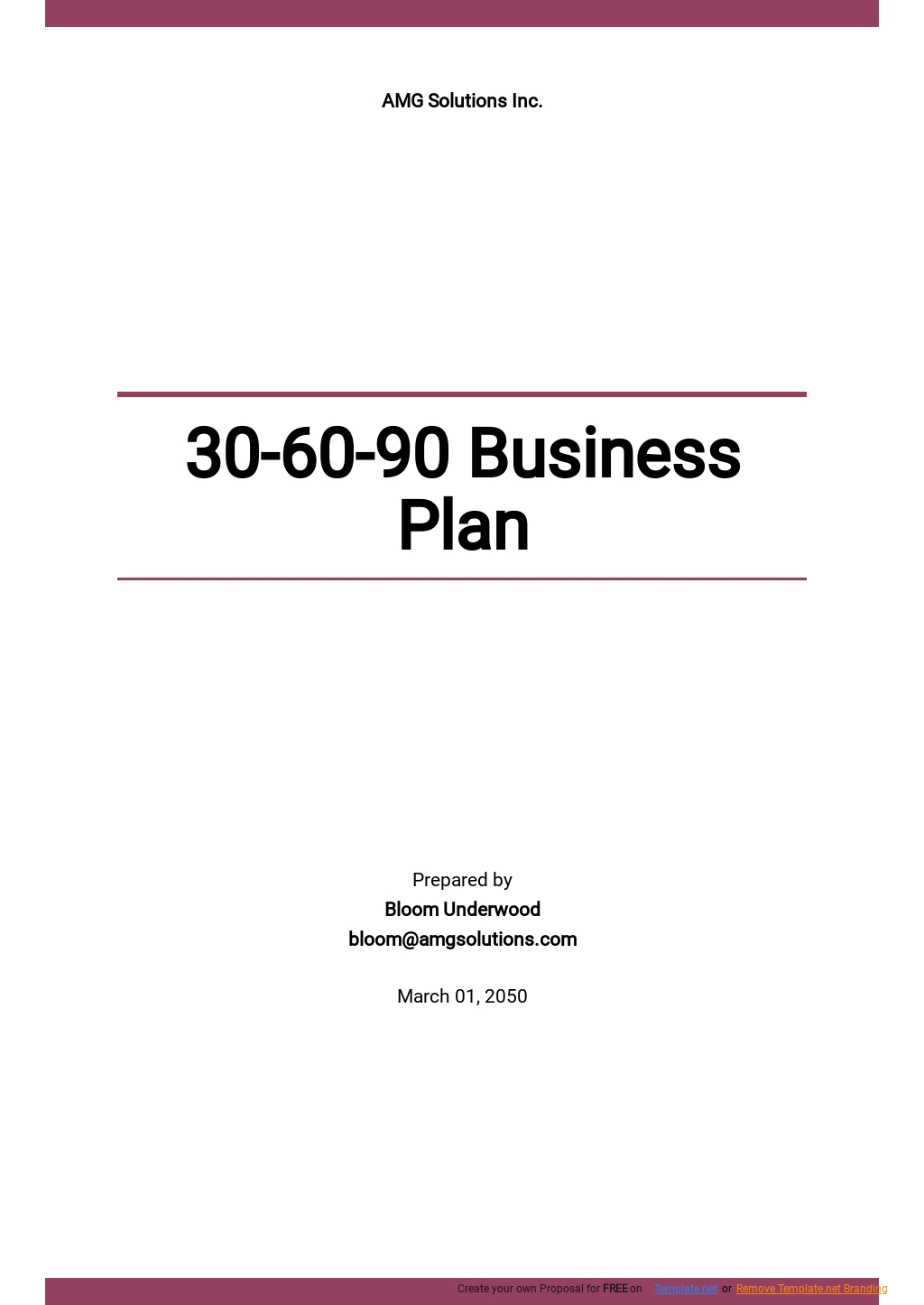 Free Sample 30-60-90 Business Plan Template