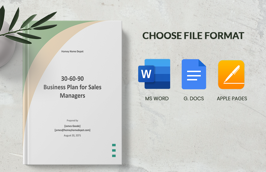 30 60 90 Business Plan for Sales Managers Template