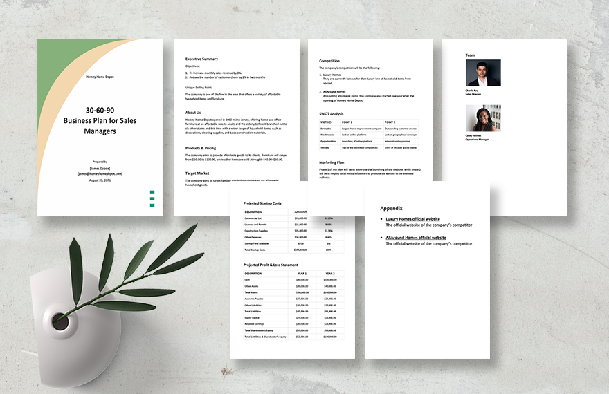 30 60 90 Business Plan for Sales Managers Template