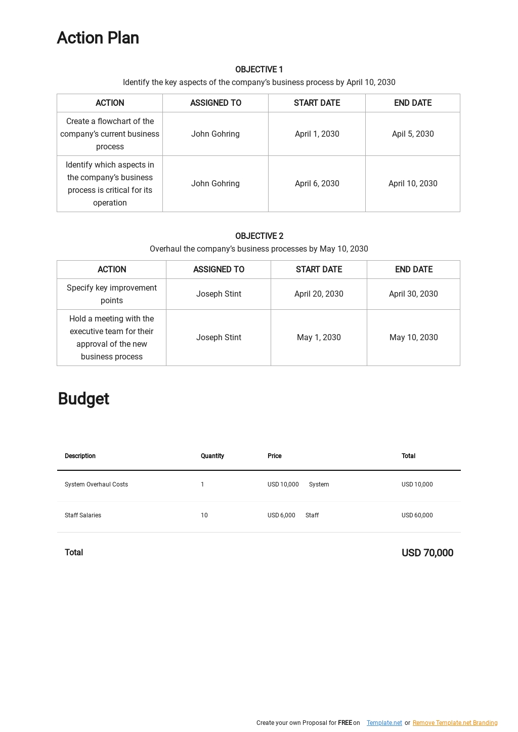 Business Process Succession Plan Template In Google Docs, Word 