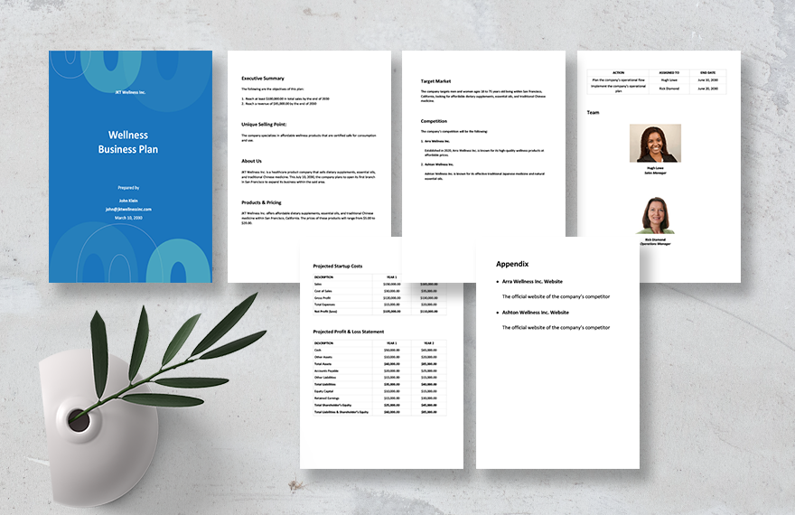 Wellness Business Plan Template in Word Google Docs Pages Download