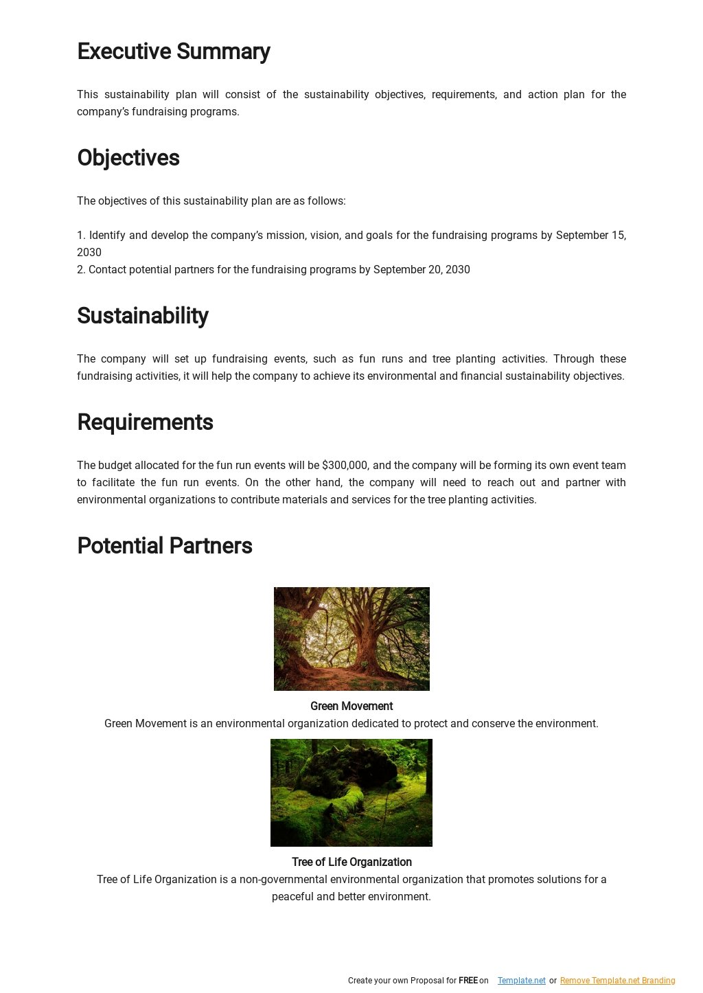 Sustainability Plan Template [Free PDF] Google Docs, Word