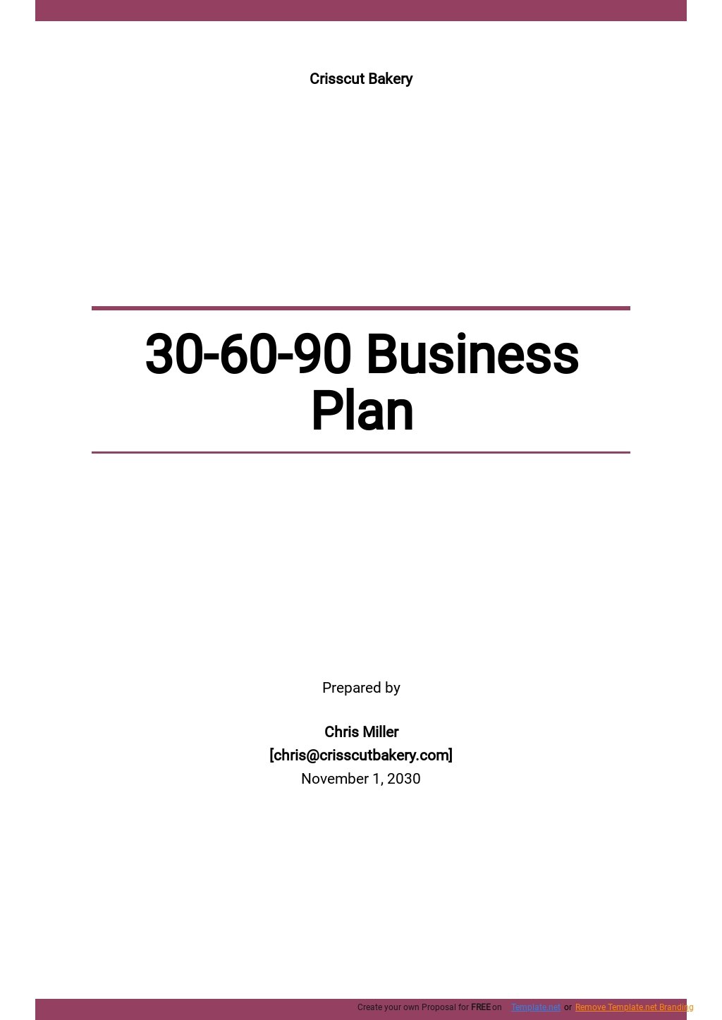 30 60 90 New Business Plan Template