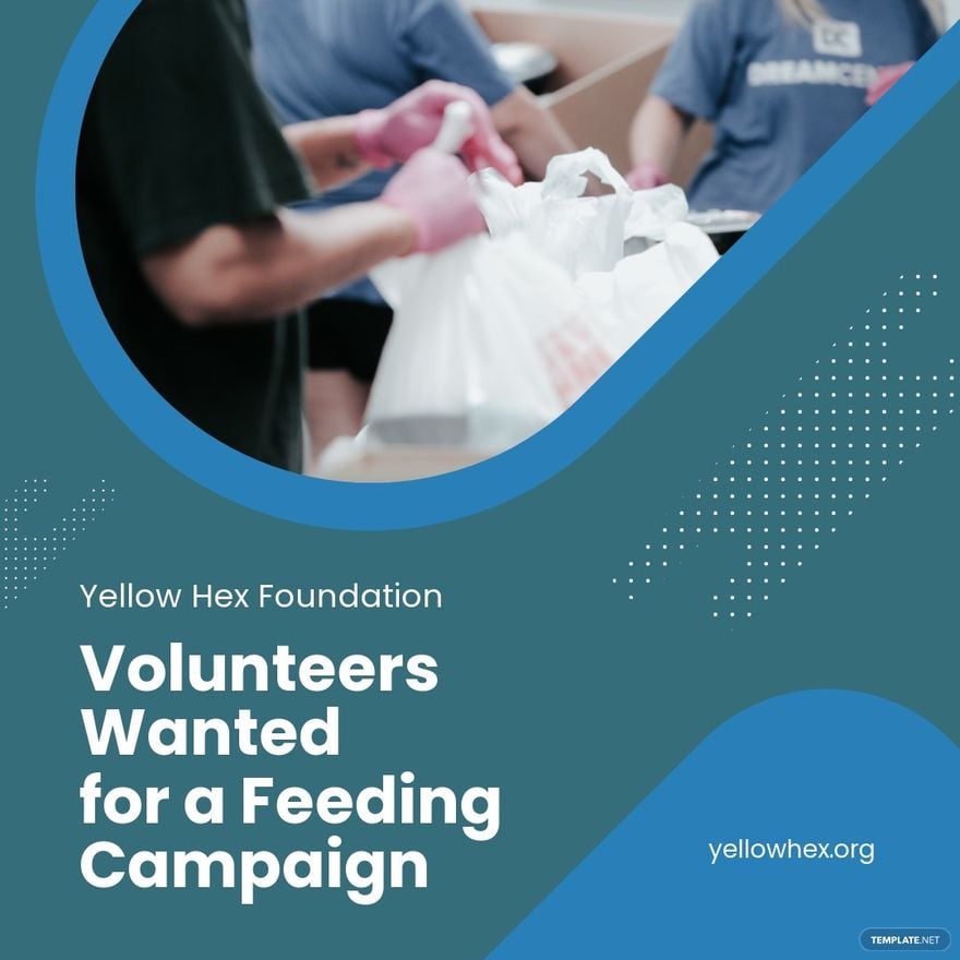 Volunteer Campaign Ad Instagram Post Template