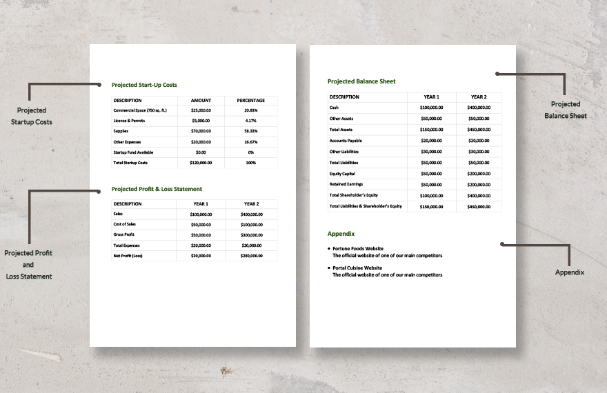 Sample 5 Year Business Plan Template