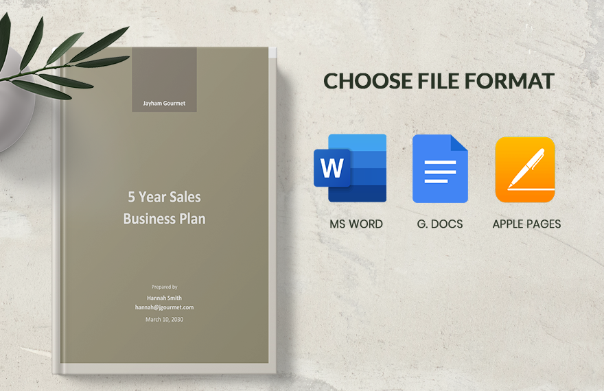 5 Year Sales Business Plan Template