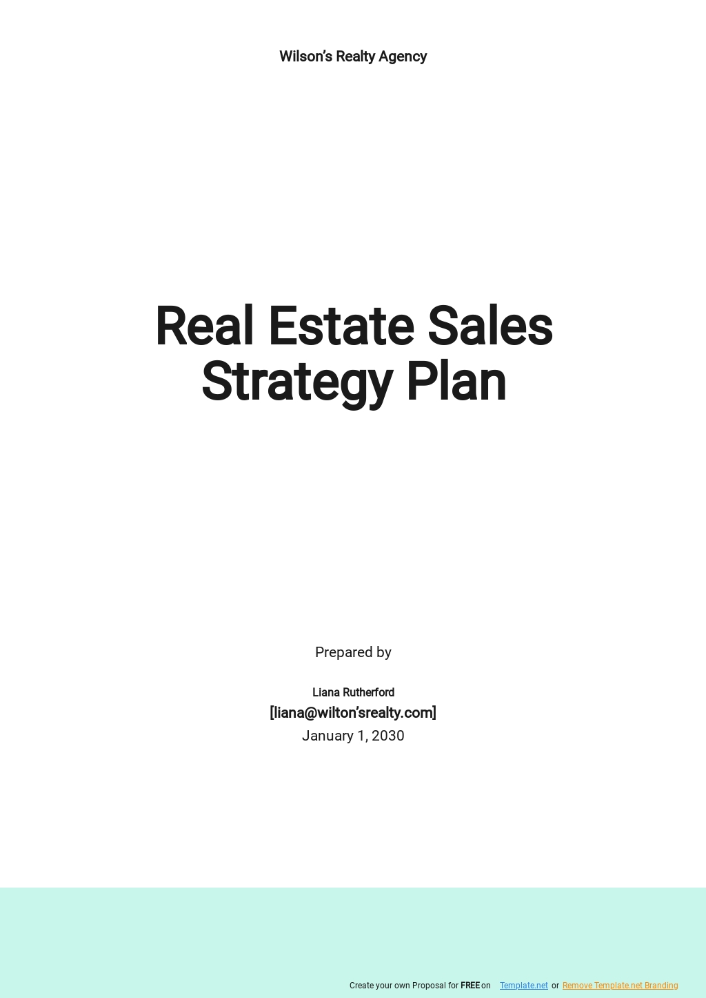 Real Estate Sales Strategy Plan Template.jpe